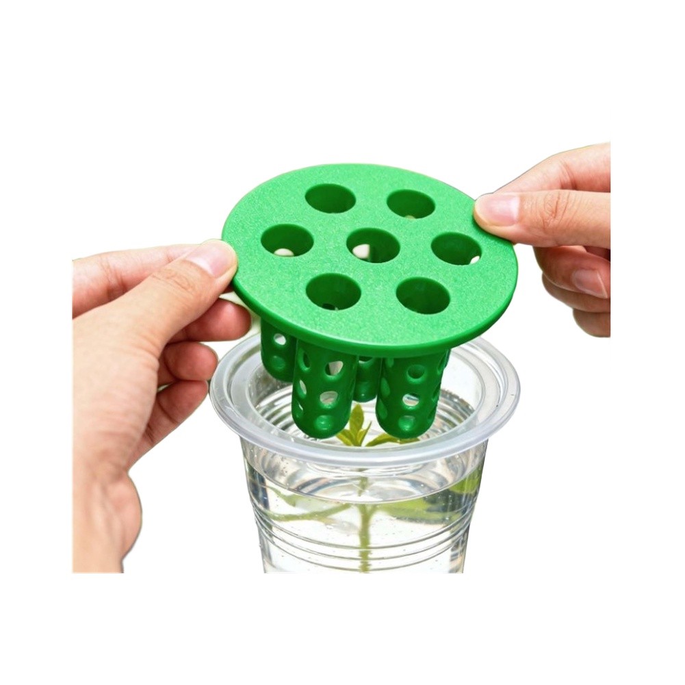 Hydroponic Kit - 4pcs Green Onion Regrower Sprouting Kits: