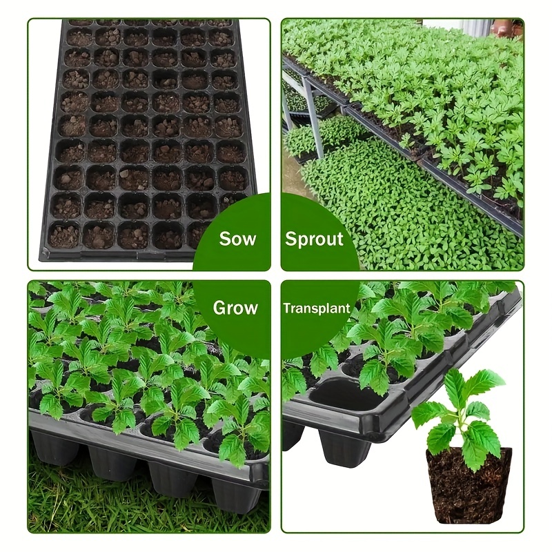 10, nursery tray, greenhouse g - Seed Starter Tray review and price