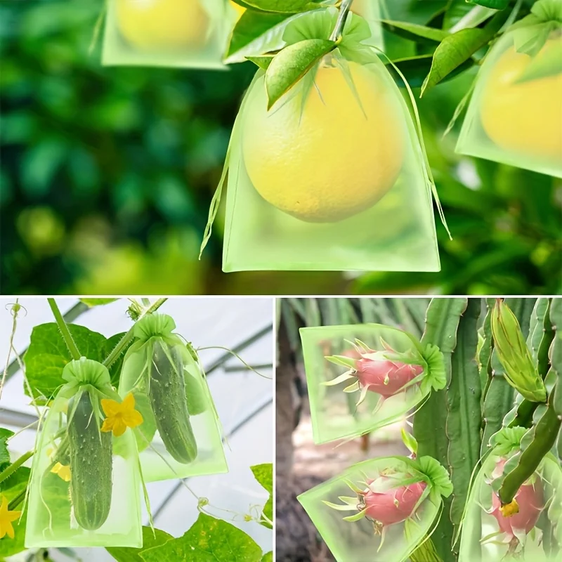 100Pcs Green Protective Bag wi - Grow Bag review and price