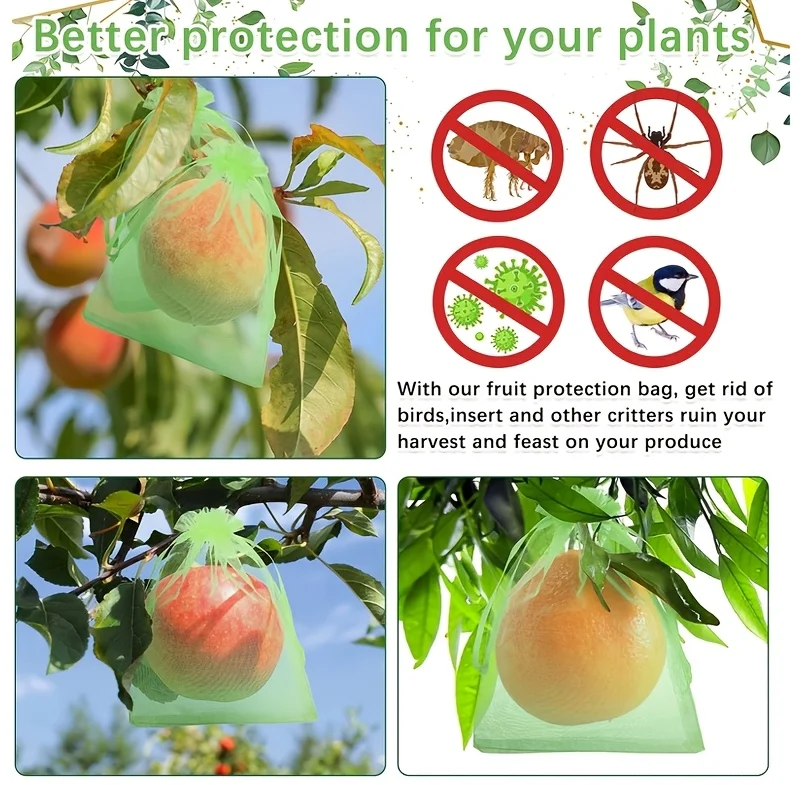 100Pcs Green Protective Bag wi - Grow Bag review and price
