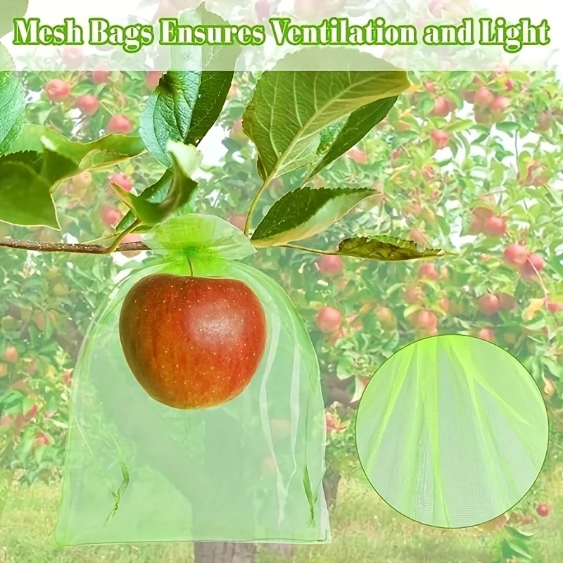 100Pcs Green Protective Bag wi - Grow Bag review and price