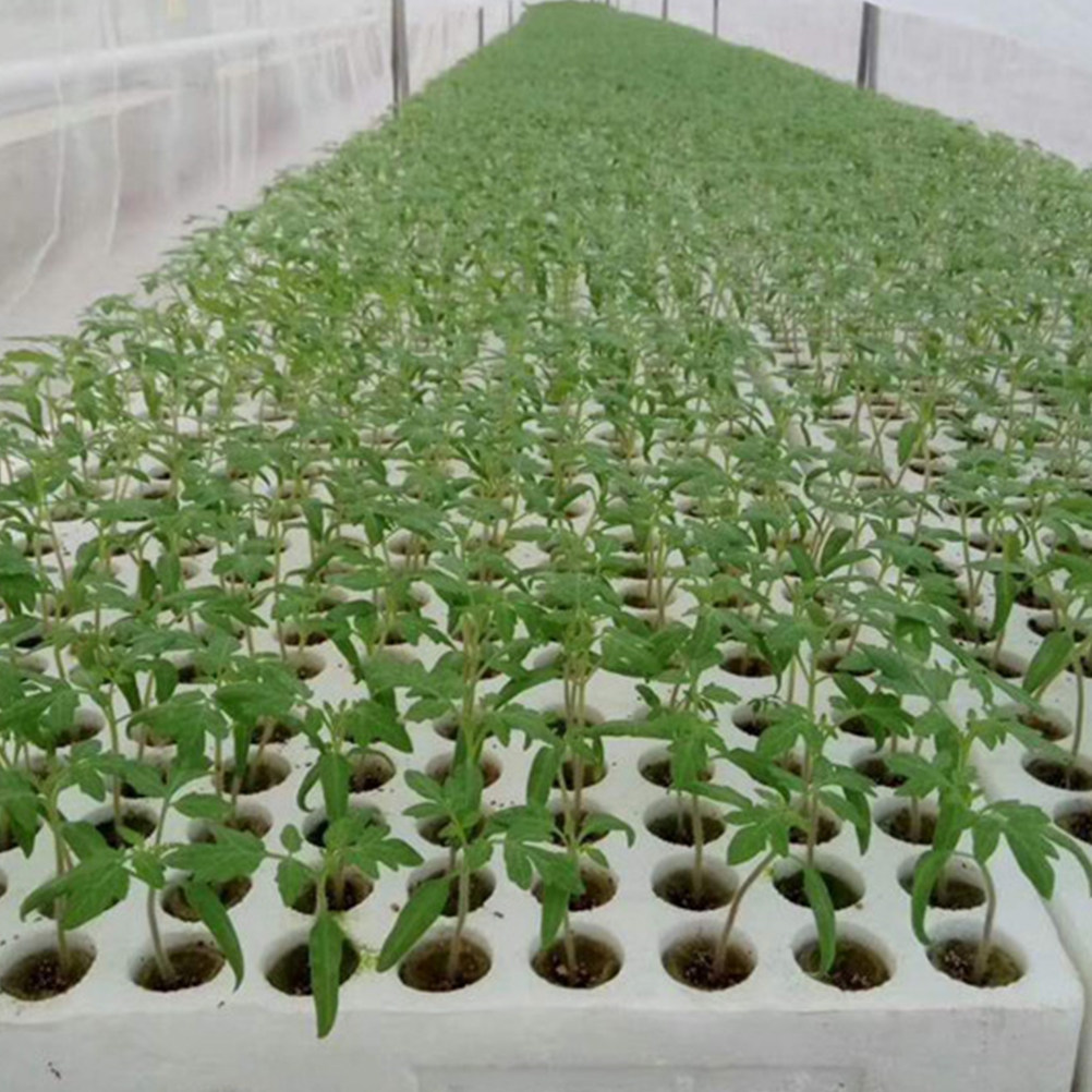 40Pcs Grow Soilless Culture Hy - Hydroponic Kit review and price