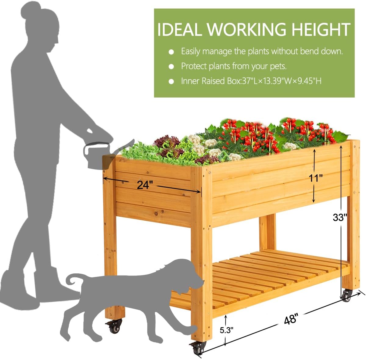 Mobile Wooden Elevated Raised  - Raised Garden Bed review and price