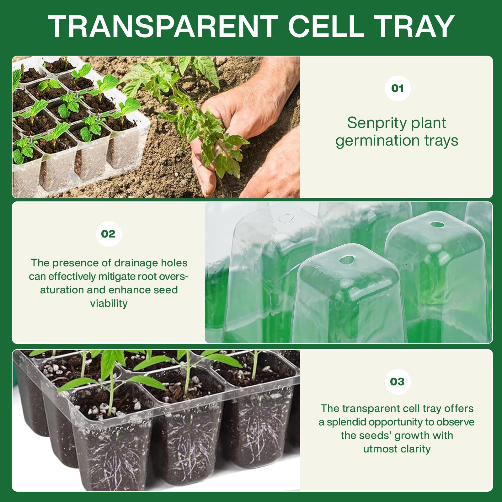 Seed Starter Tray with Plant L - Seed Starter Tray review and price