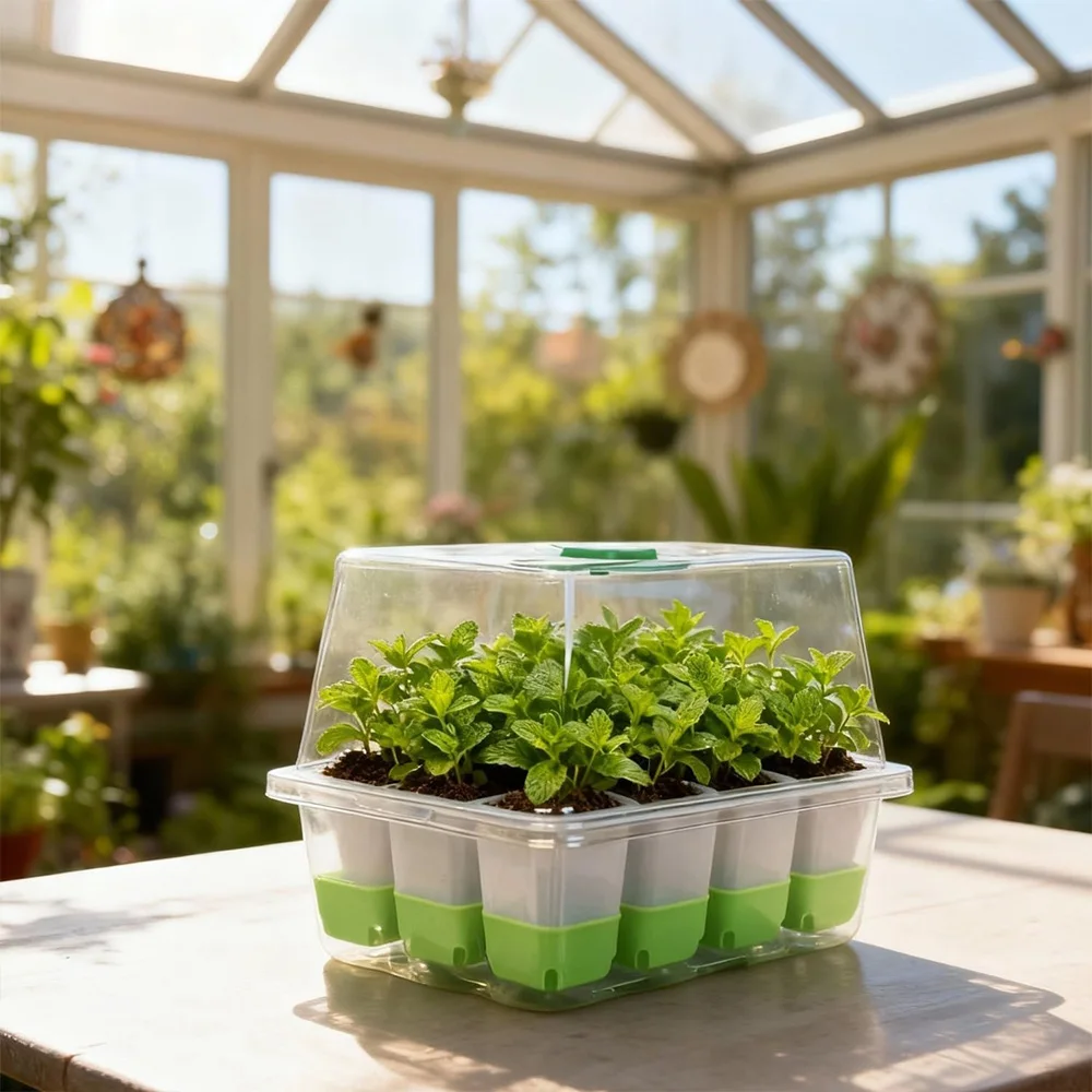12 cell Seedling Starter Tray  - Seed Starter Tray review and price