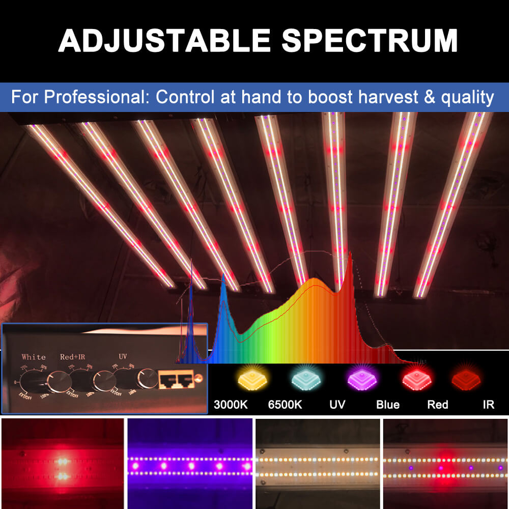 US Stock PPFD 2800 Umol/S Led  - Grow Light Led review and price