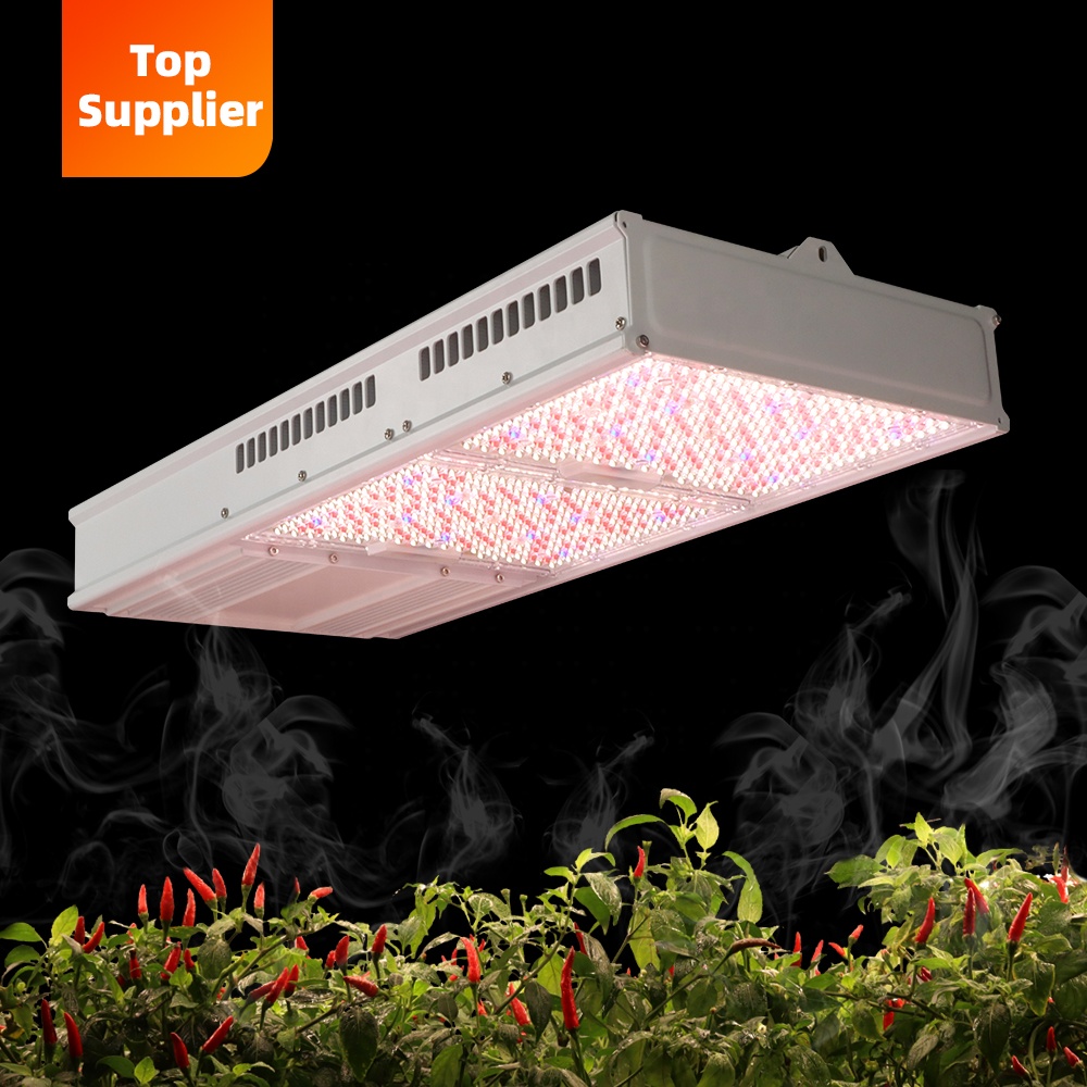 Cost-Effective 600W 800W Topli - Grow Light Led review and price