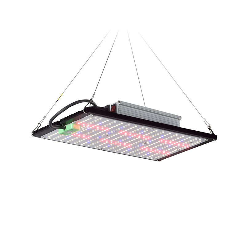 LED Quantum‑Board Grow Light F - Grow Light Led review and price