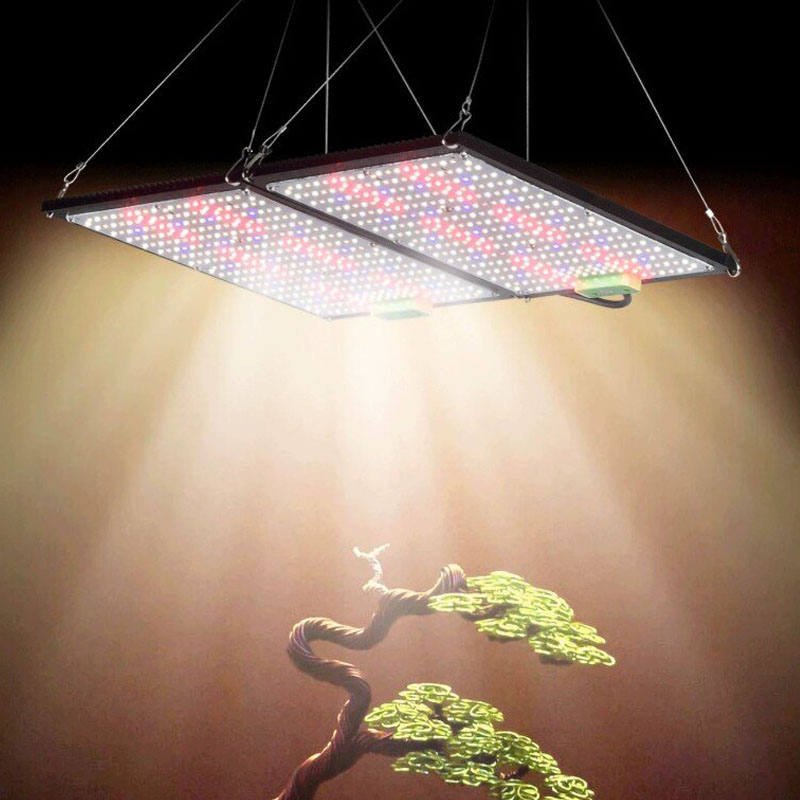 LED Quantum‑Board Grow Light F - Grow Light Led review and price