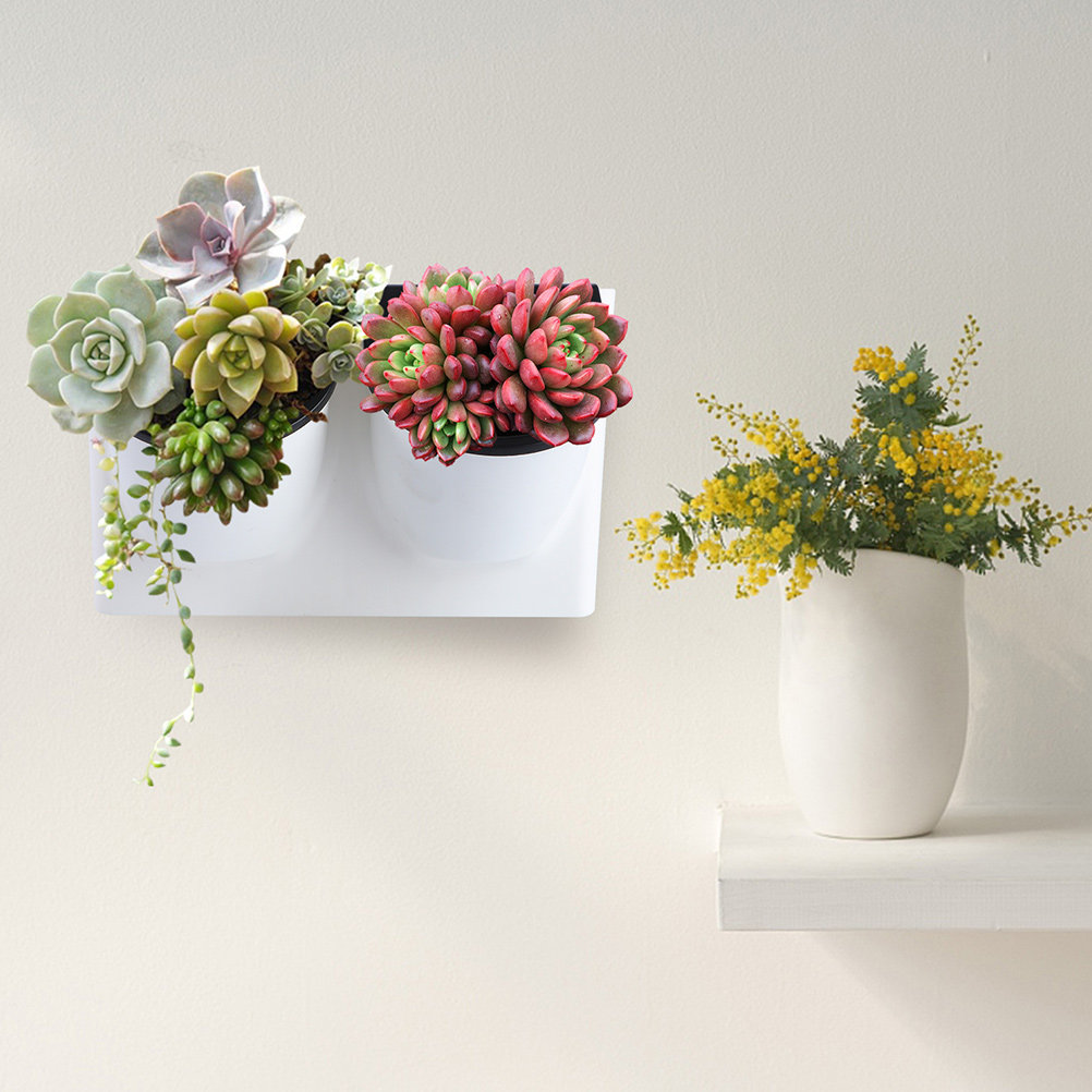 Self Watering Flower Pot Plast - Self Watering Planter review and price