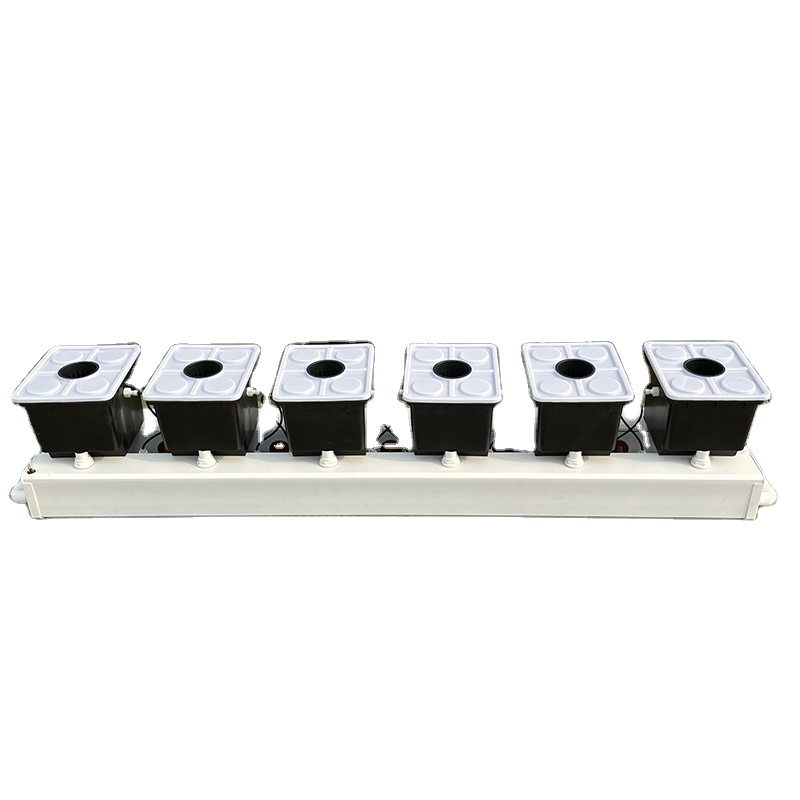 Dutch Bucket Hydroponic System - Hydroponic Kit review and price