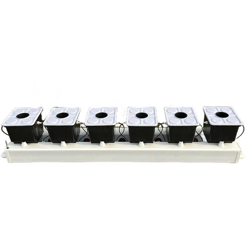 Dutch Bucket Hydroponic System - Hydroponic Kit review and price
