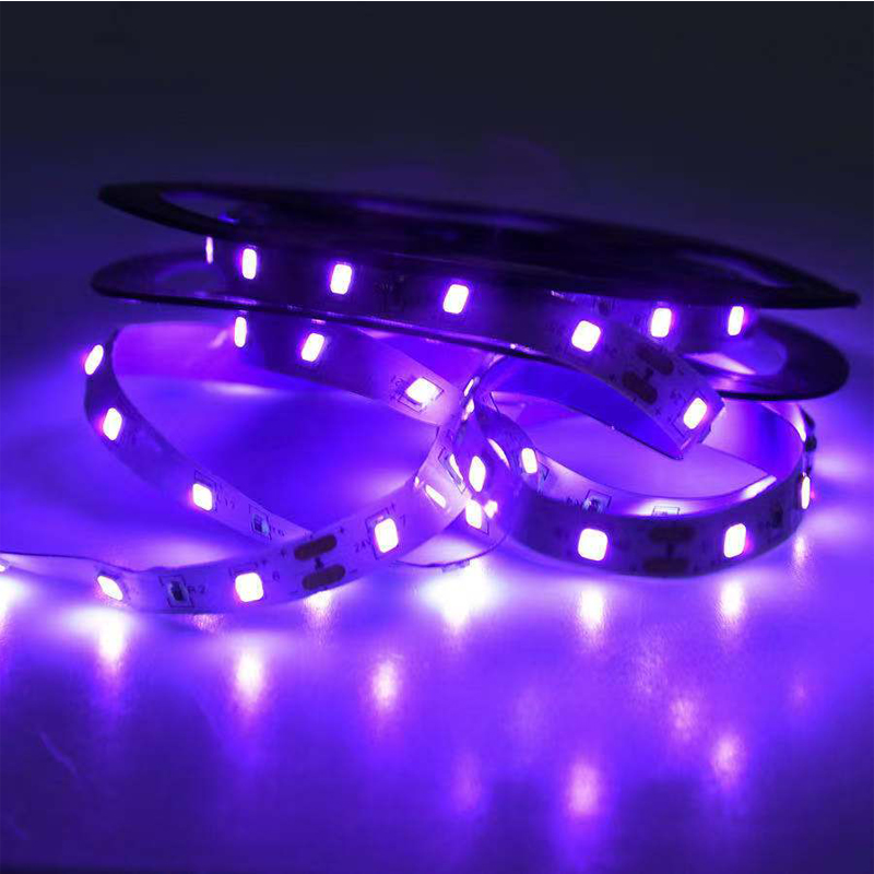 UV LED Ultraviolet Light, Blac - Grow Light Led review and price