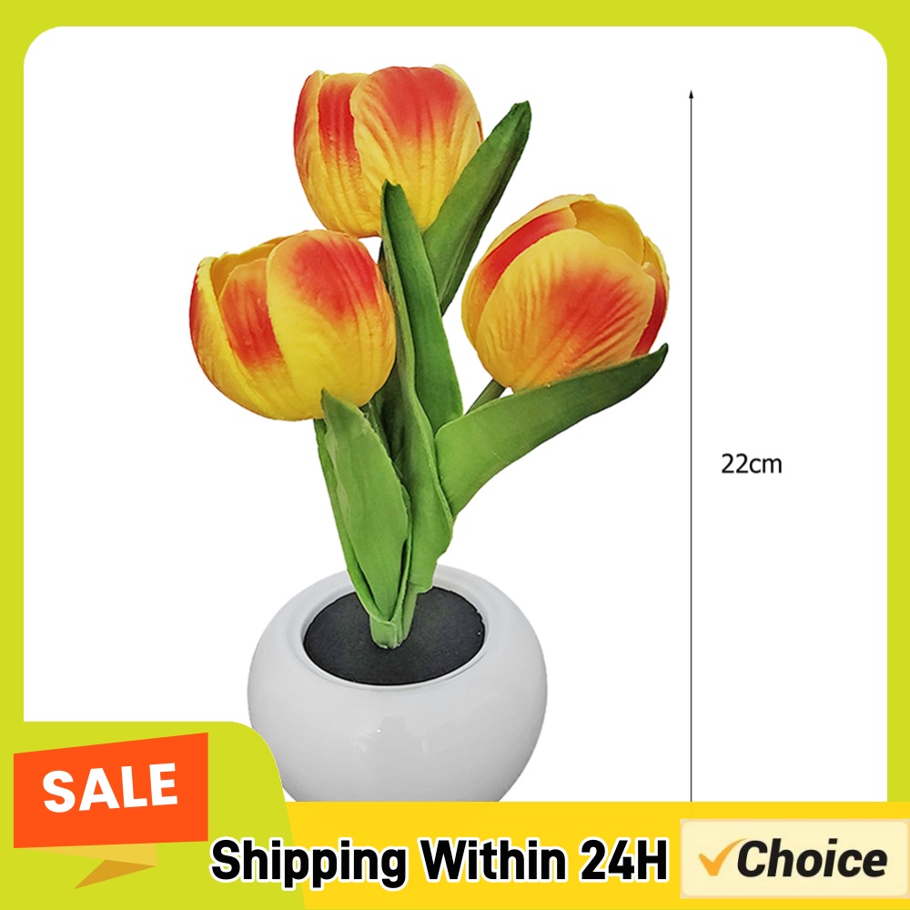 9x22cm Potted Plant Table Lamp - Plant Pot review and price