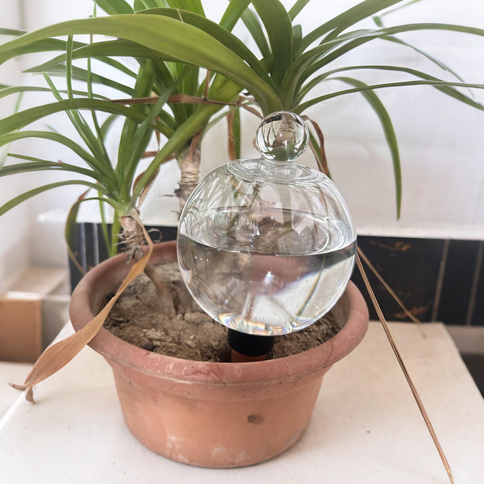 Plant Watering Bulbs 4pcs 500m - Self Watering Planter review and price