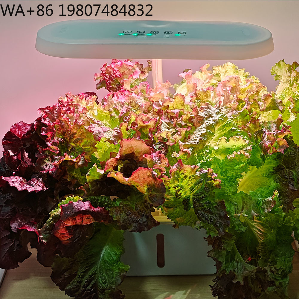 8 Hole Silent Circulation Soil - Hydroponic Kit review and price