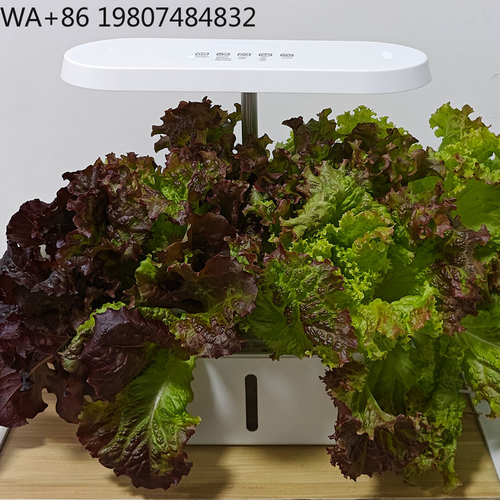 8 Hole Silent Circulation Soil - Hydroponic Kit review and price