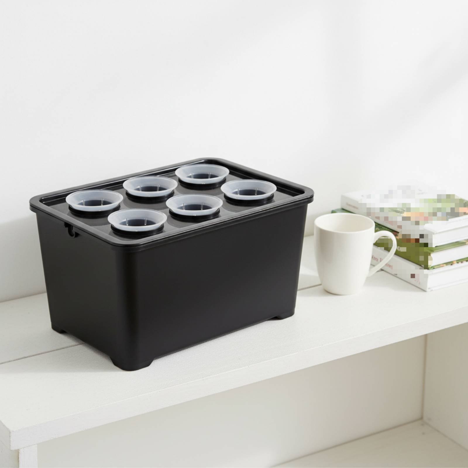 Hydroponic Planting Box Sunlig - Hydroponic Kit review and price