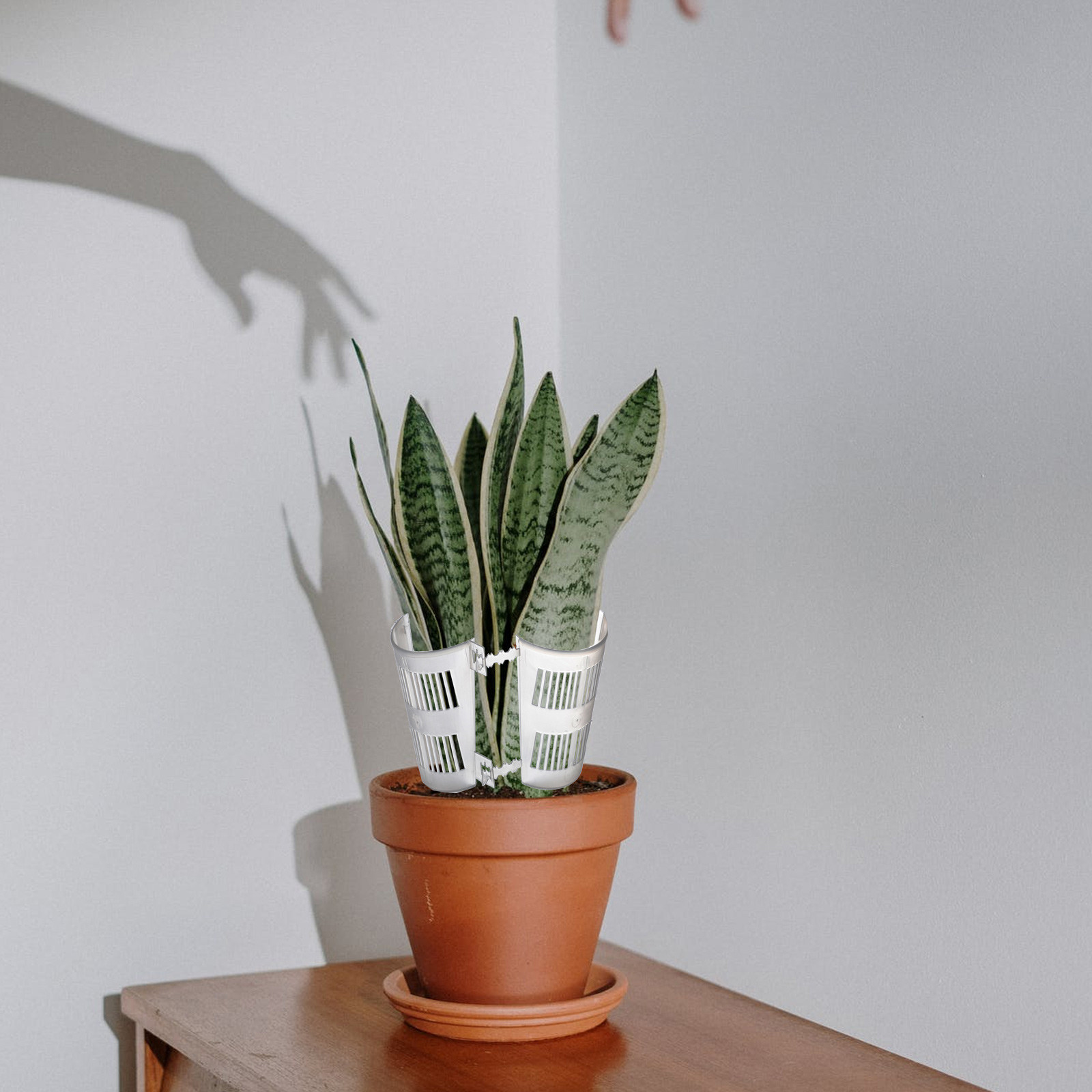 10Pcs Root Control Plant Pots  - Plant Pot review and price