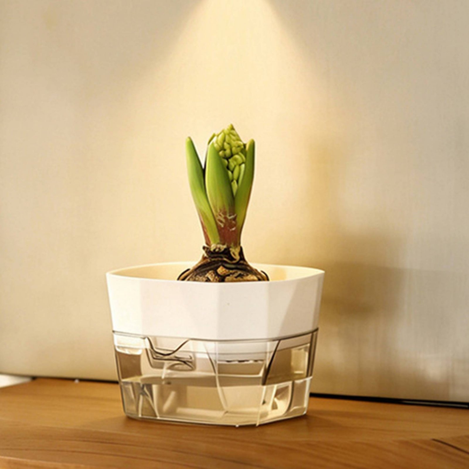 Hydroponic Bulb Vase 2-Tier De - Plant Pot review and price