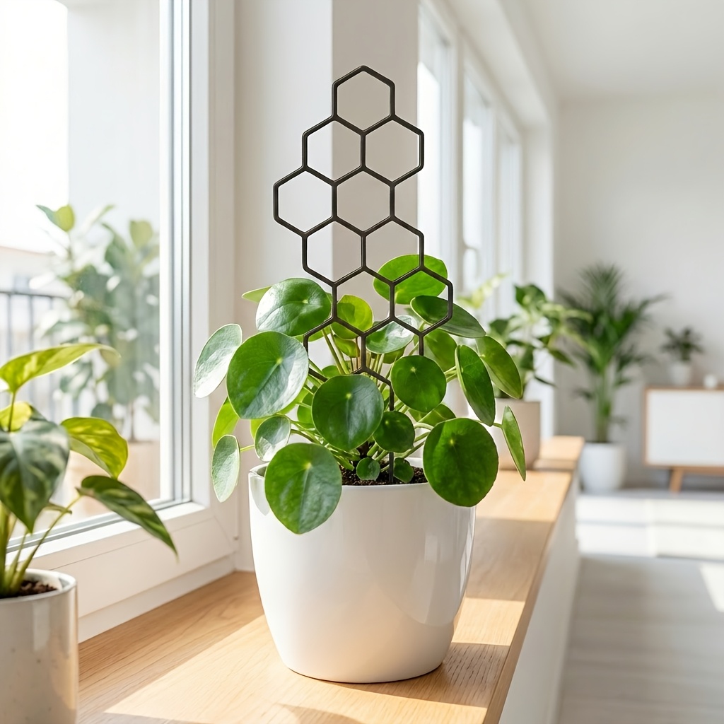 1/2Pack Indoor Plant Trellis G - Indoor Herb Garden review and price