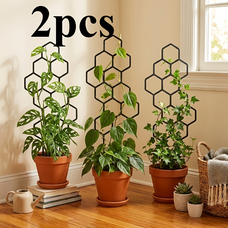 2Pcs Honeycomb Plant Climbing  - Indoor Herb Garden review and price