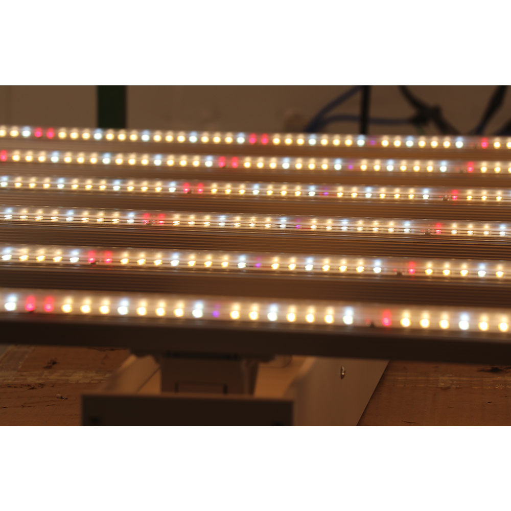 2023 Drop-shipping Factory Dir - Grow Light Led review and price
