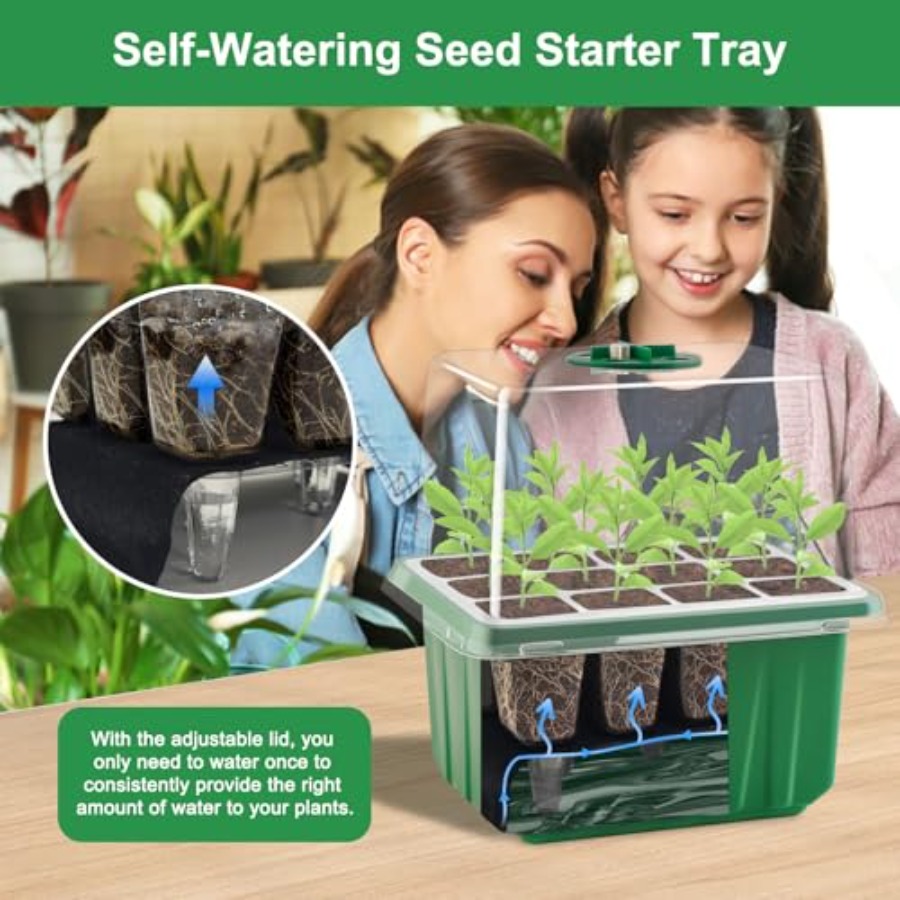 Seed Starter Tray with Light 6 - Seed Starter Tray review and price