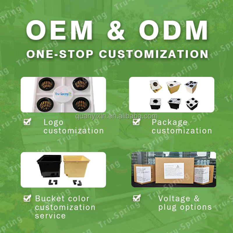 Dutch Bucket Hydroponic System - Hydroponic Kit review and price