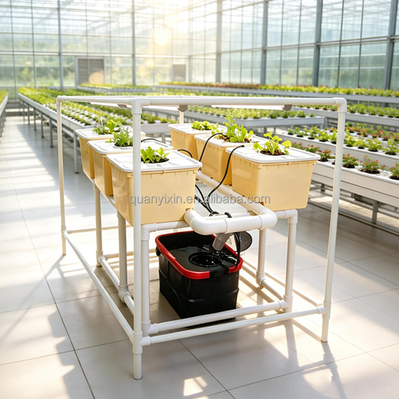 Dutch Bucket Hydroponic System - Hydroponic Kit review and price