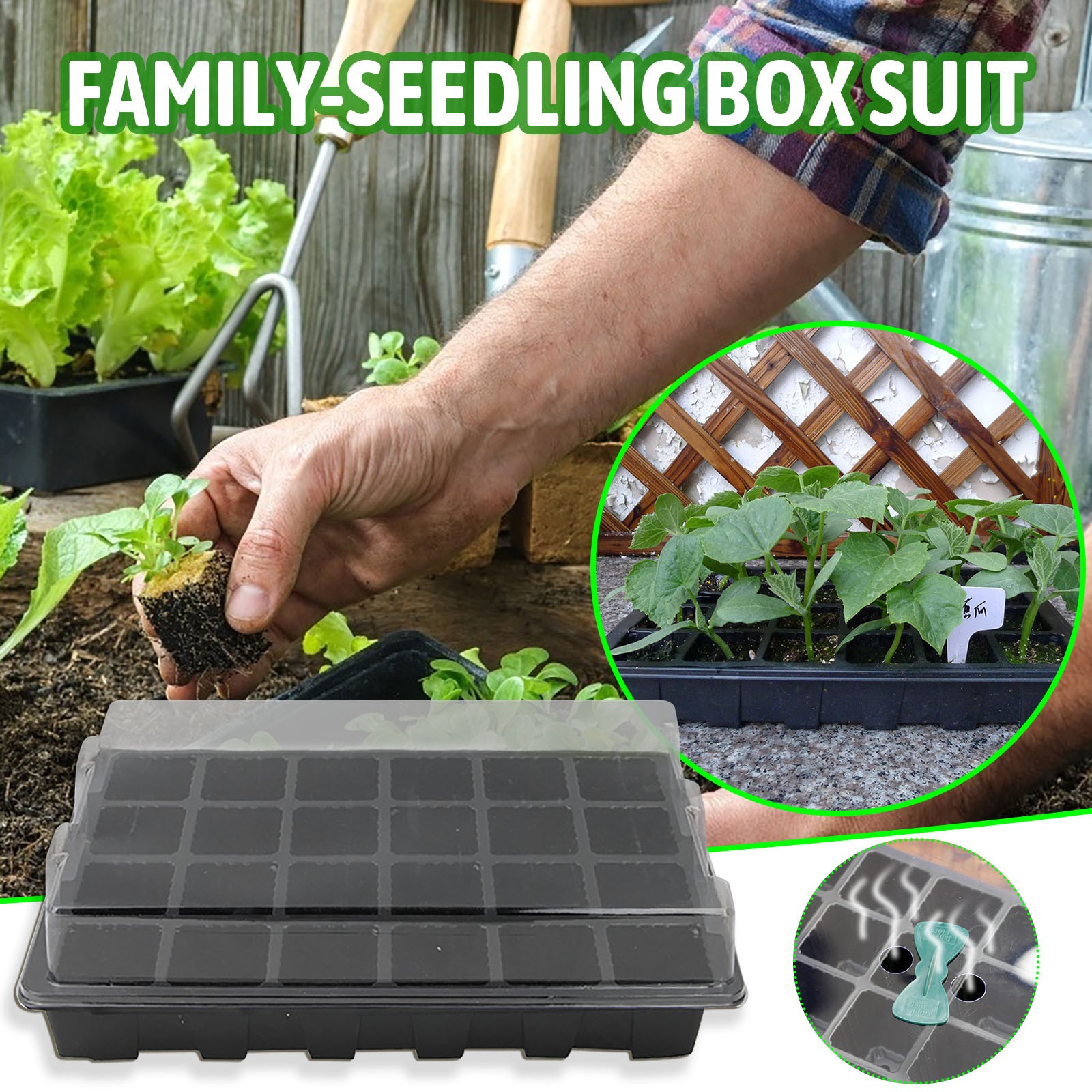 24 Cells Seedling Tray Germina - Seed Starter Tray review and price