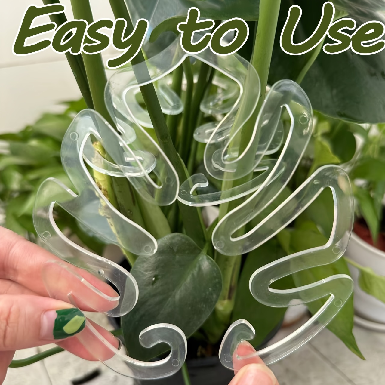 Flexible Plastic Monstera Plan - Vertical Planter review and price