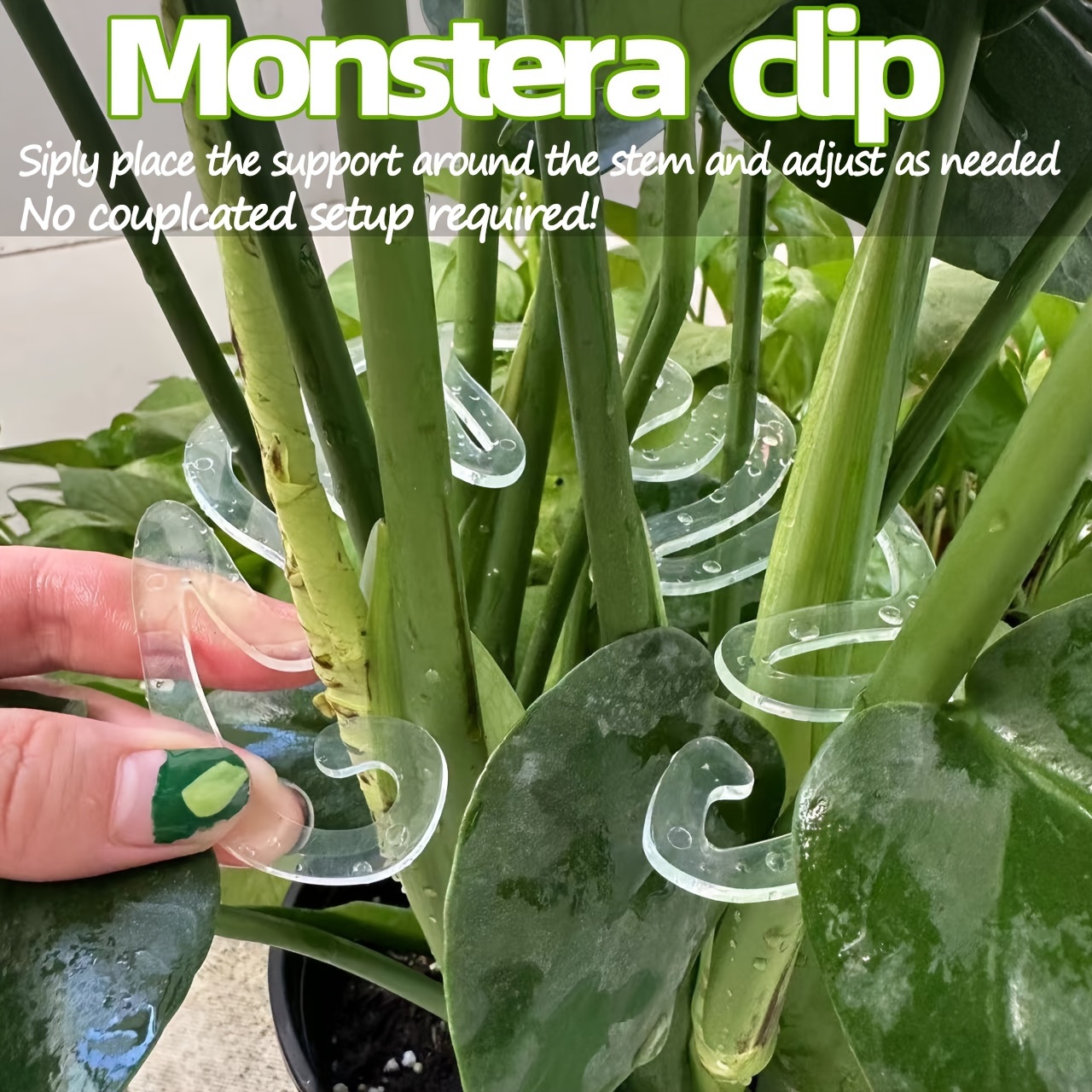 Flexible Plastic Monstera Plan - Vertical Planter review and price