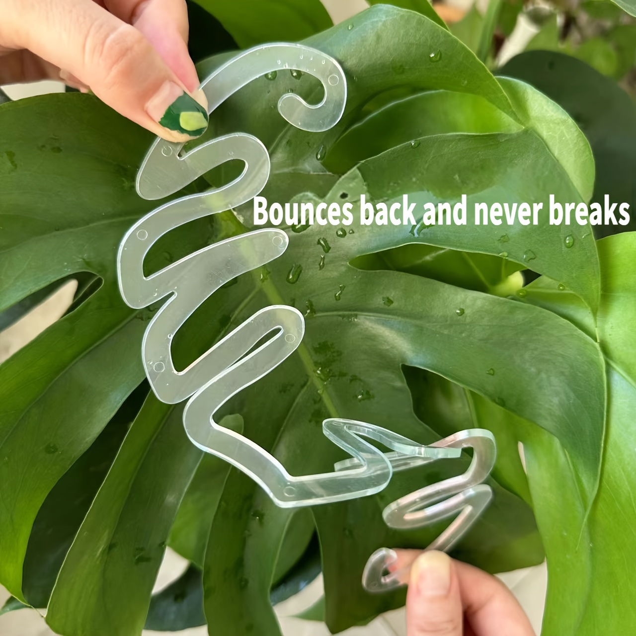 Flexible Plastic Monstera Plan - Vertical Planter review and price