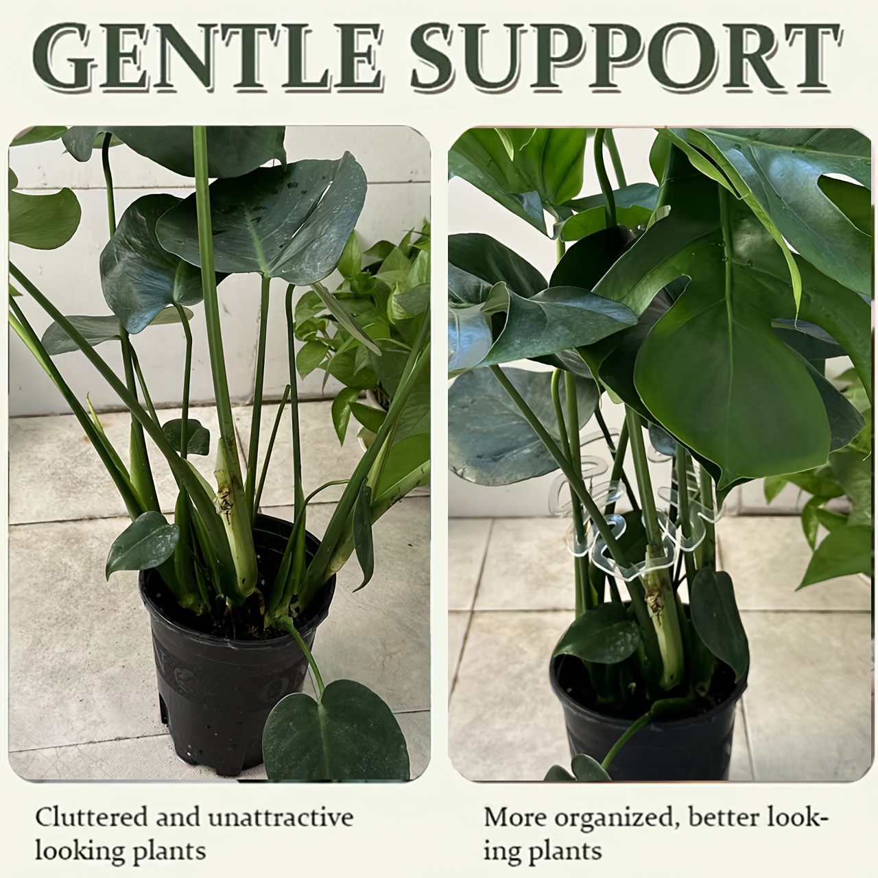 Flexible Plastic Monstera Plan - Vertical Planter review and price
