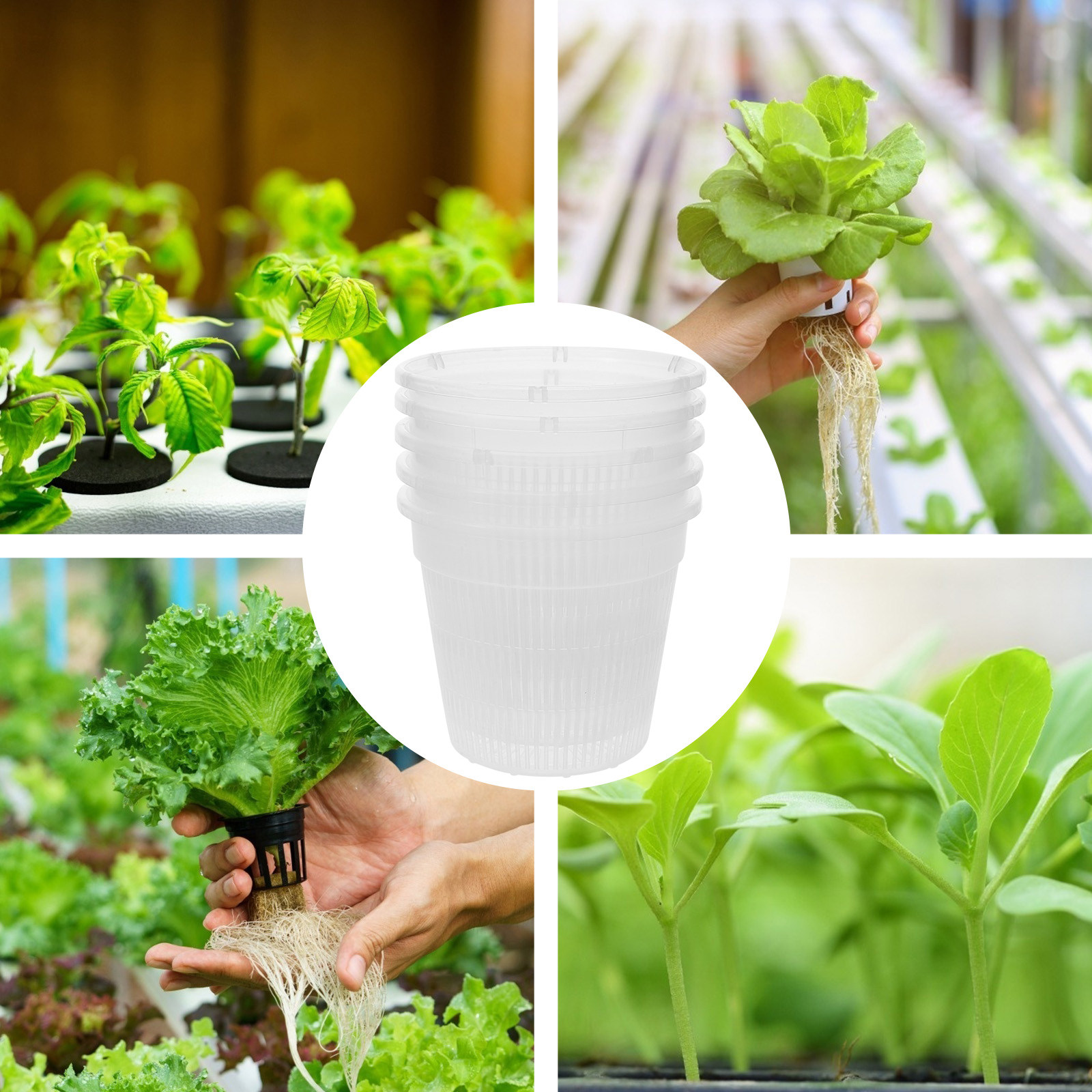 5Pcs Hydroponic Planting Net P - Plant Pot review and price