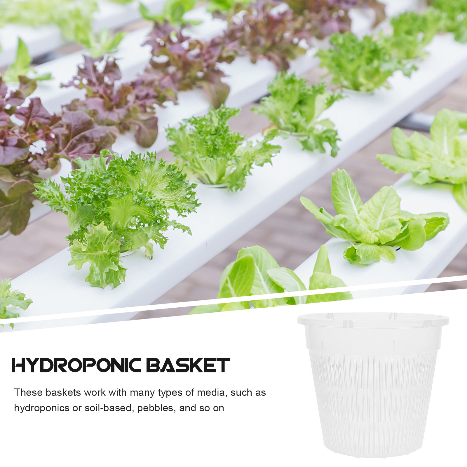 5Pcs Hydroponic Planting Net P - Plant Pot review and price