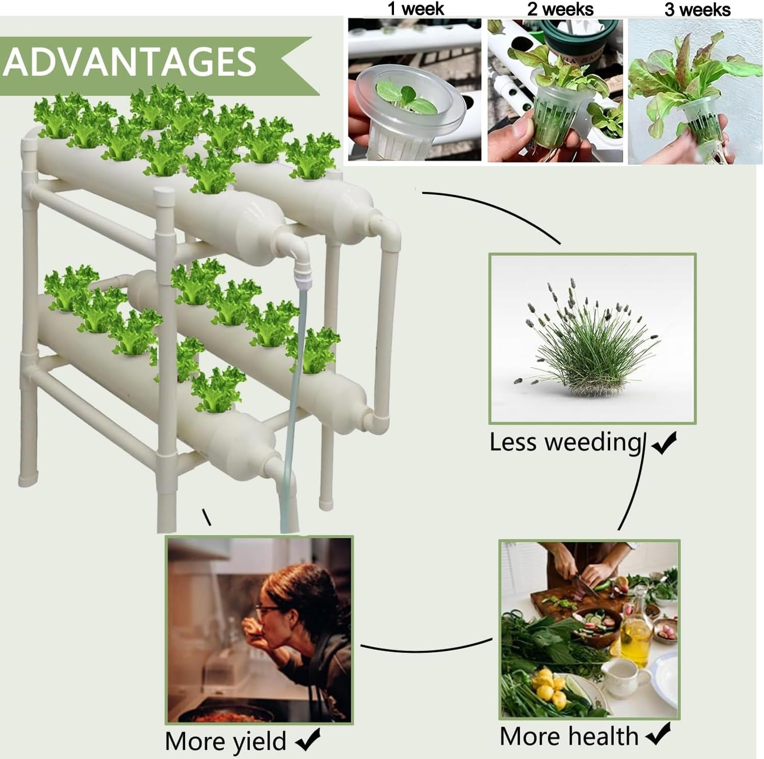 Hydroponic Growing System 20 H - Hydroponic Kit review and price