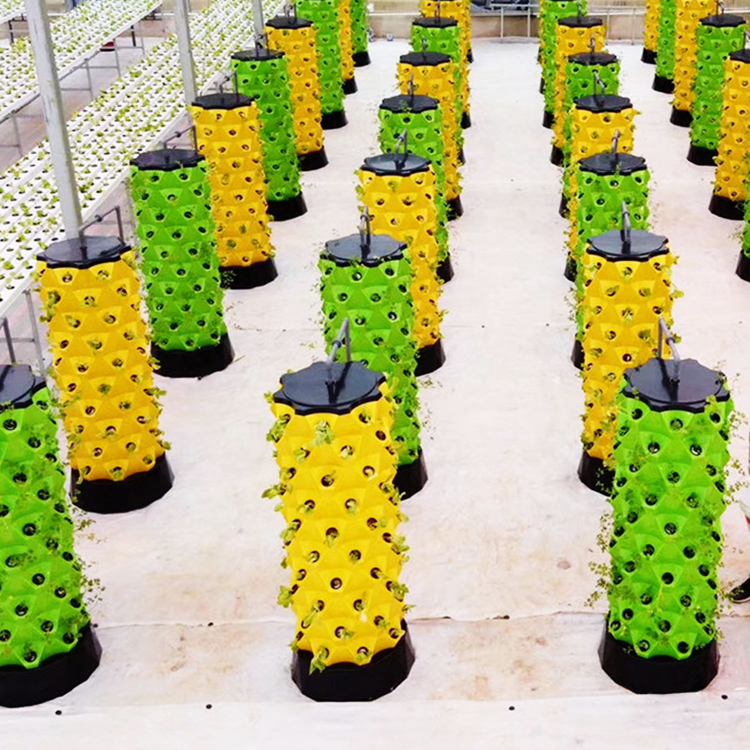 NEW Hydroponics Vertical Garde - Hydroponic Kit review and price