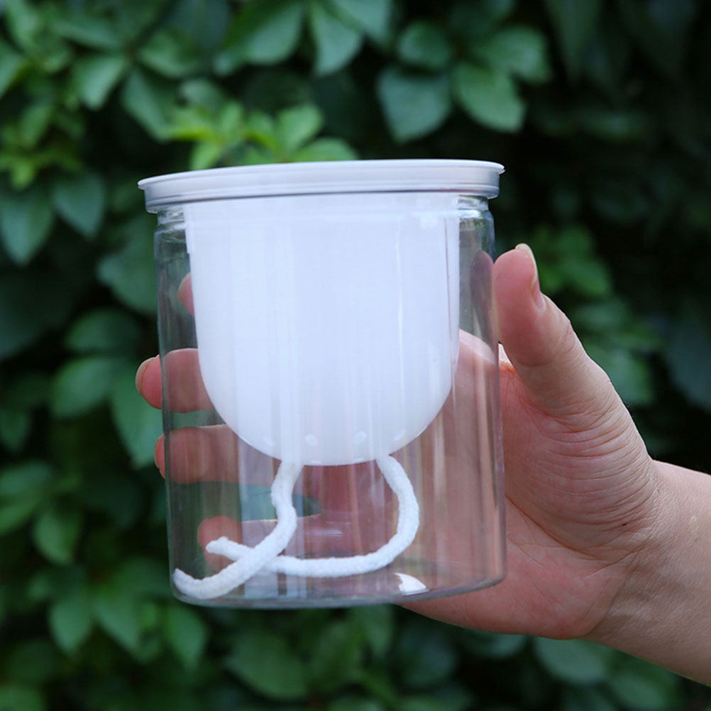100Pcs Water Absorption Cotton - Self Watering Planter review and price