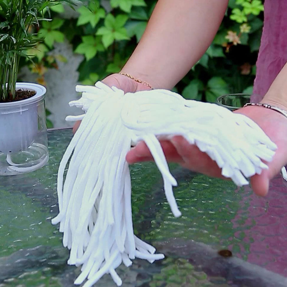 100Pcs Water Absorption Cotton - Self Watering Planter review and price