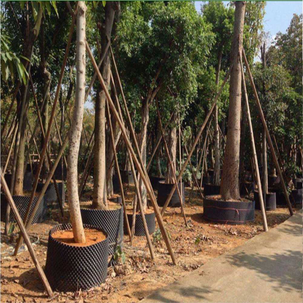 Grow Container Garden Tree Bon - Plant Pot review and price