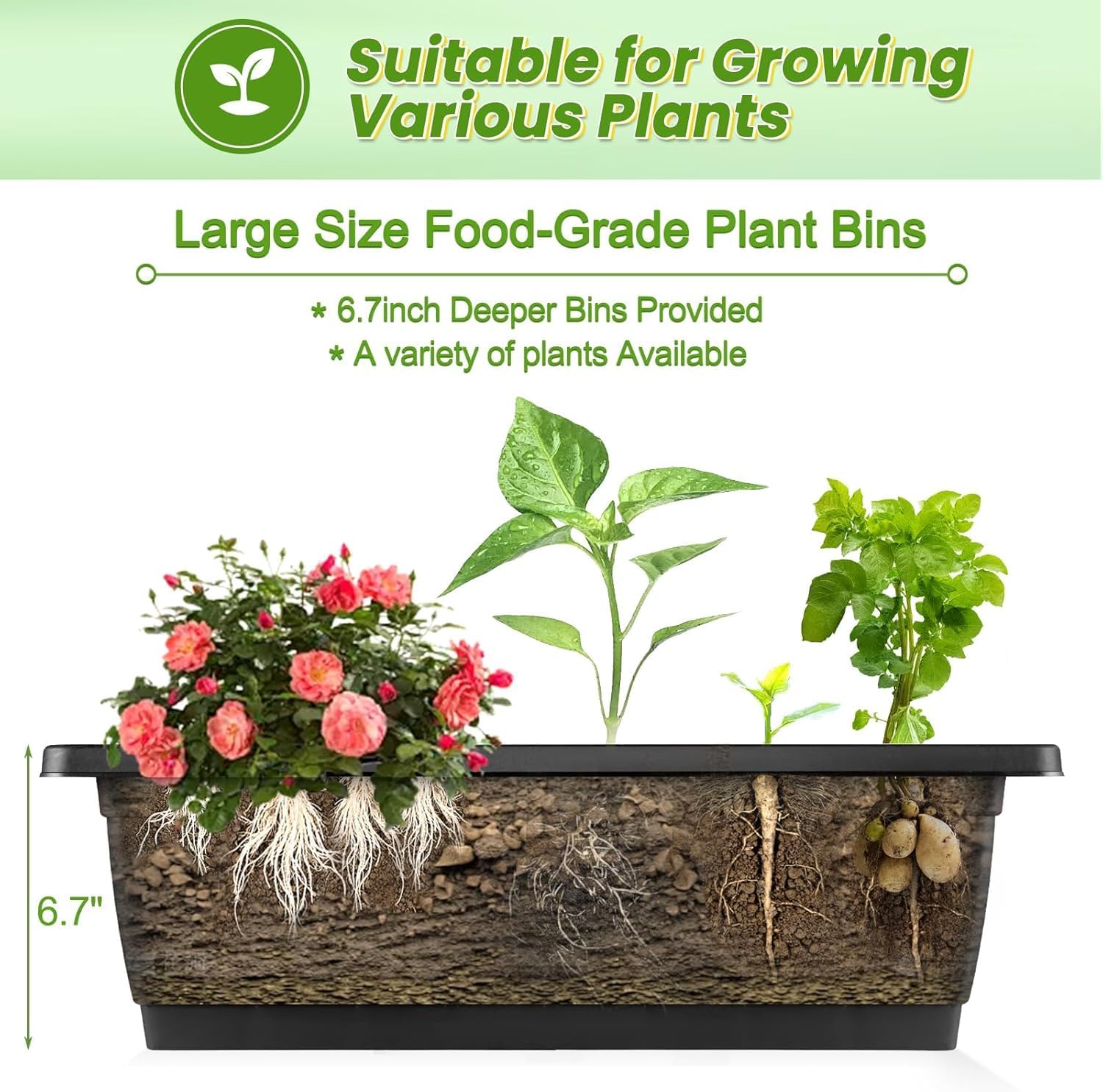 Vertical Raised Garden Bed Wit - Indoor Herb Garden review and price