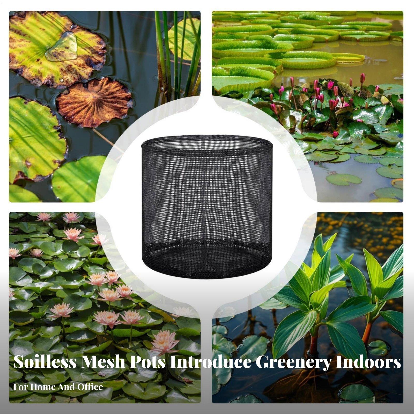 4 Piece Water Lily Planting Po - Grow Bag review and price