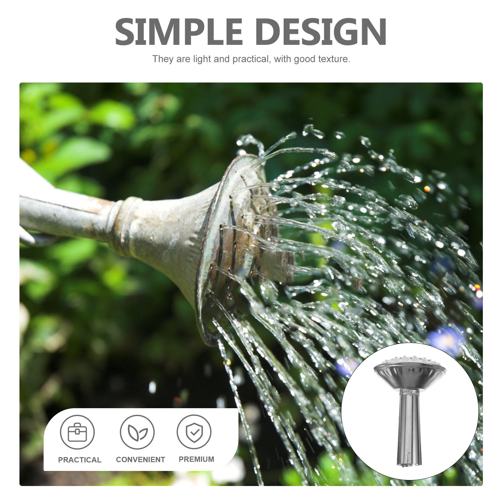 Stainless Steel Water Can Spra - Watering Can review and price