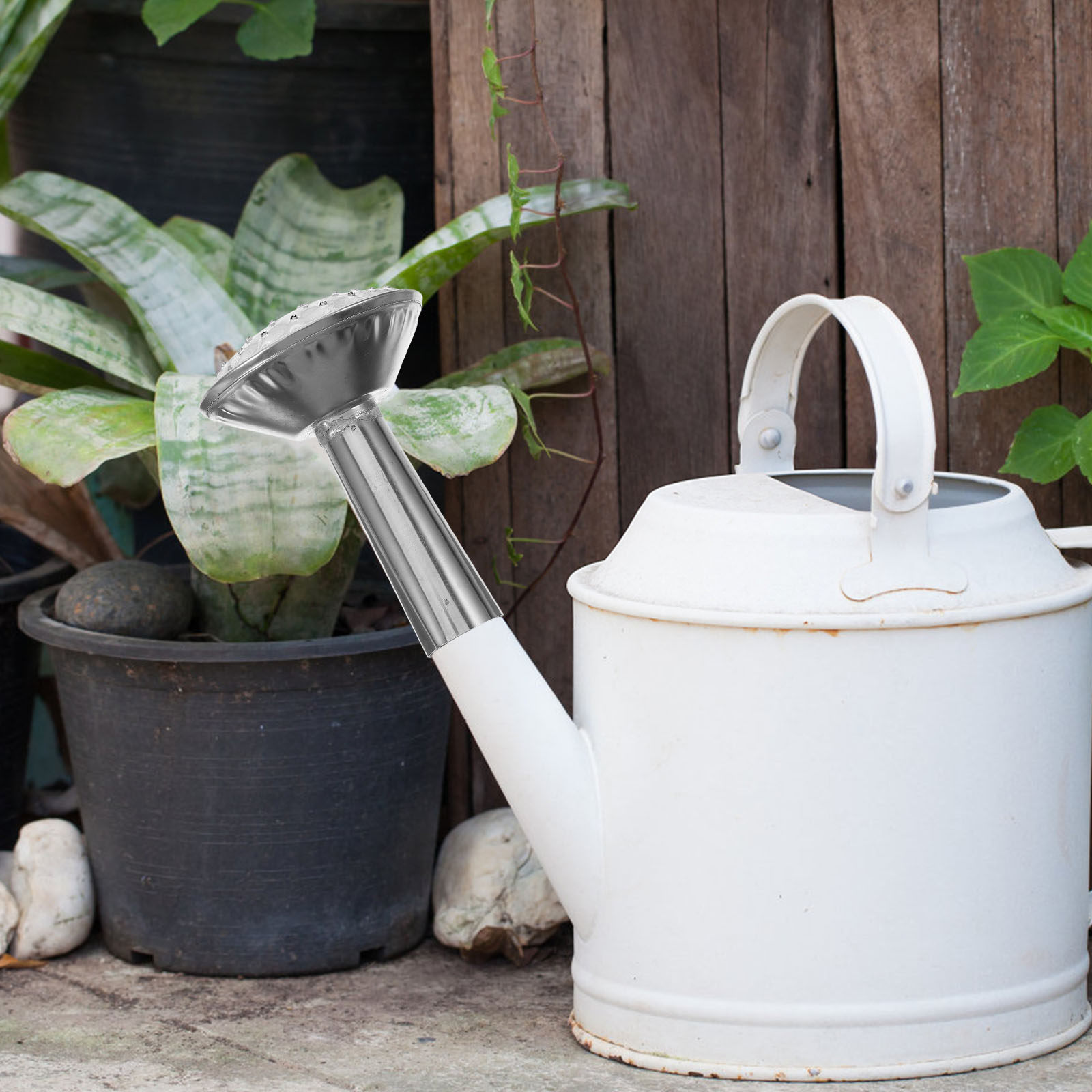Stainless Steel Water Can Spra - Watering Can review and price