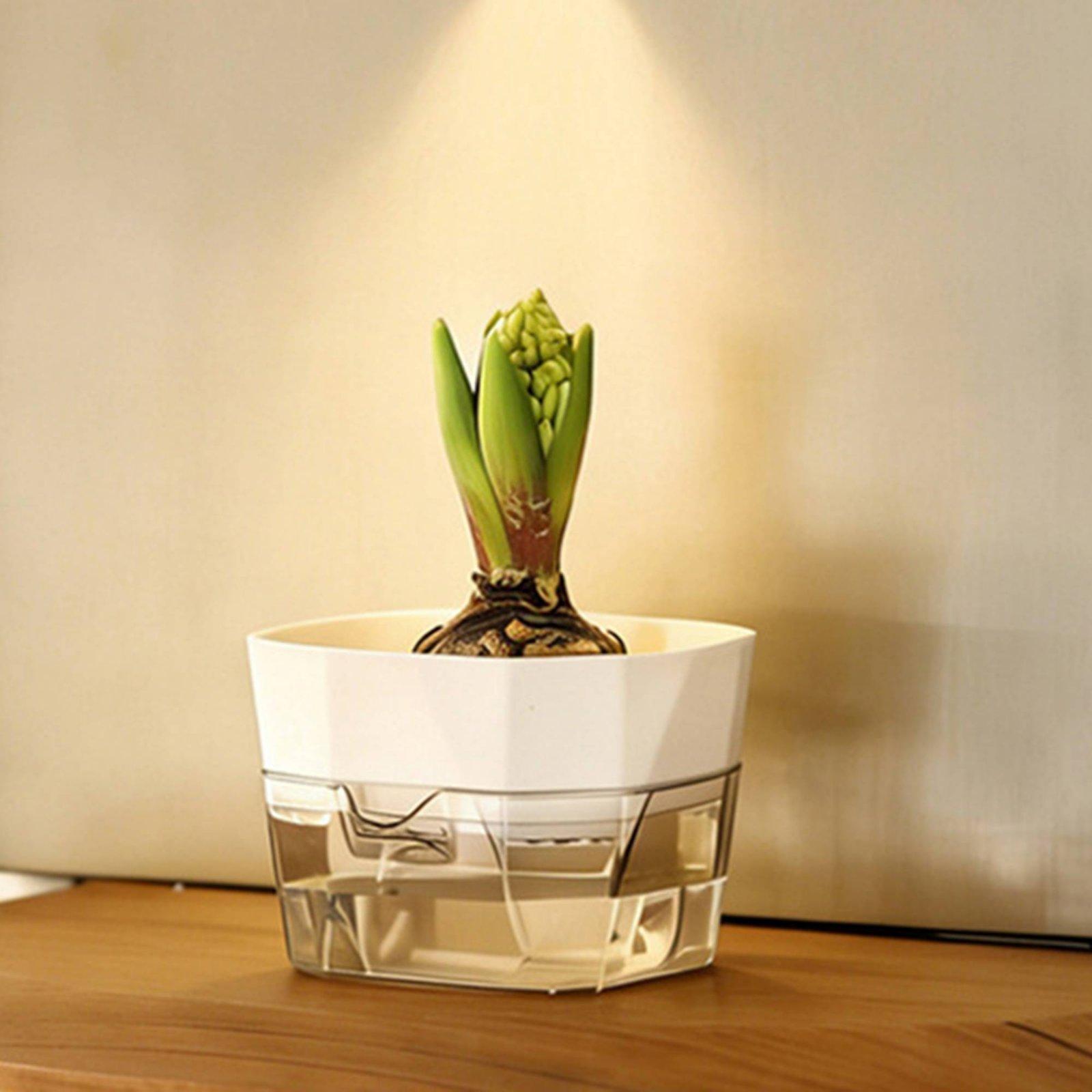 Hydroponic Vase Two Layer Self - Self Watering Planter review and price