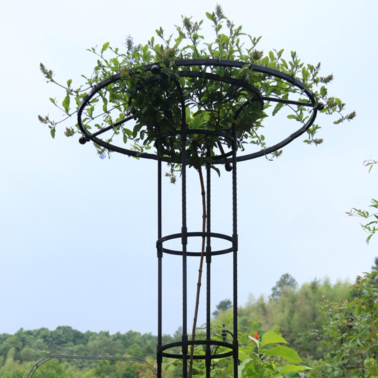Garden Trellis Umbrella Tower  - Vertical Planter review and price