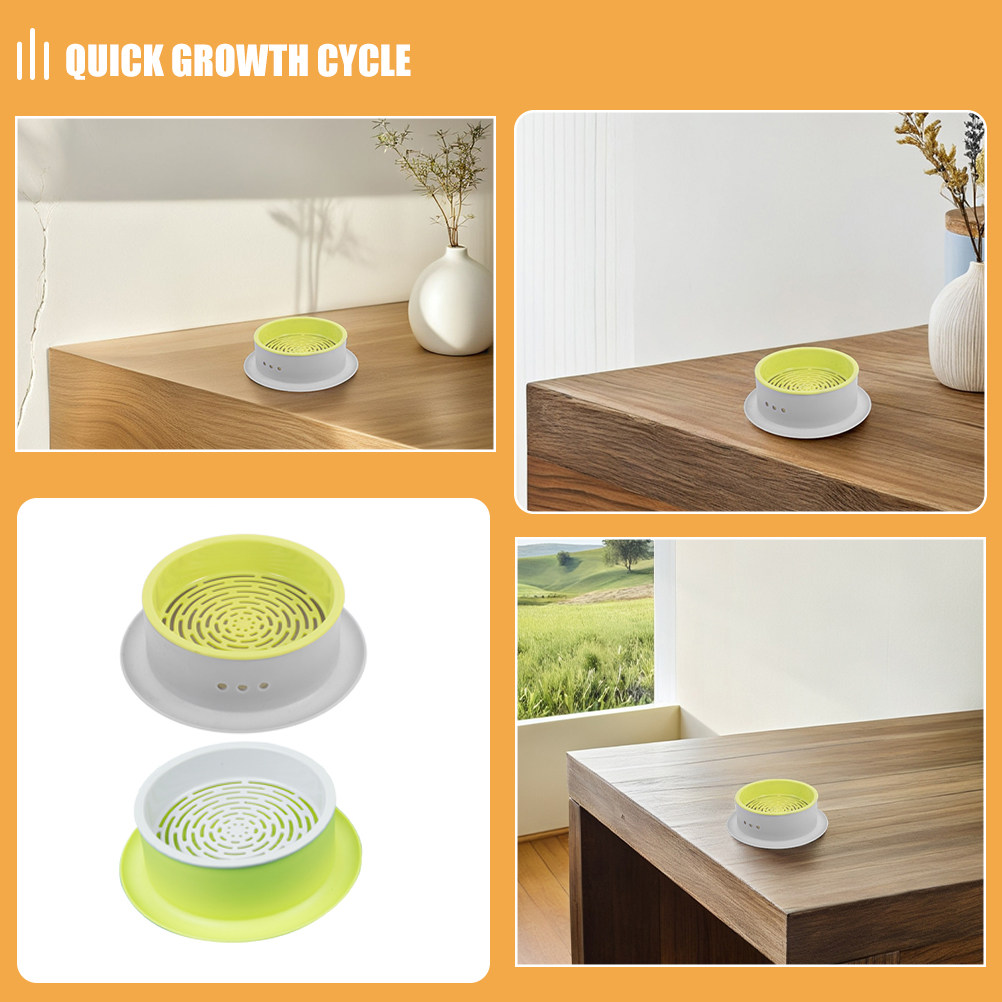 2Pcs Hydroponic Cat Grass Plan - Hydroponic Kit review and price