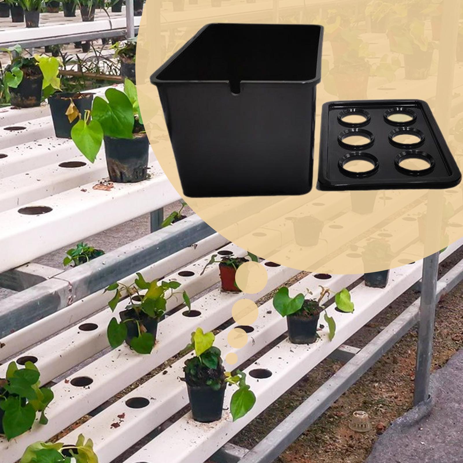 Hydroponic Planting Kit Beginn - Hydroponic Kit review and price